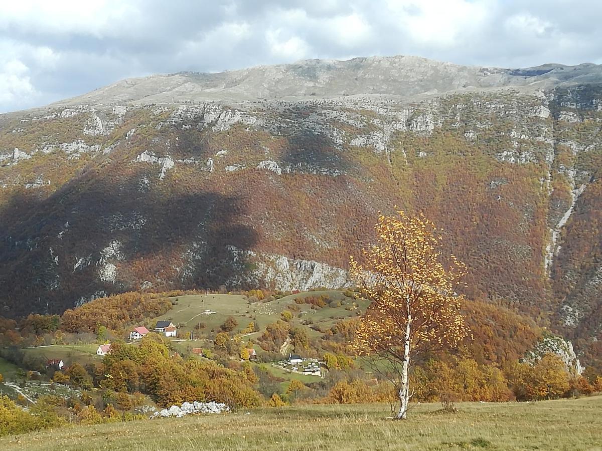 Hotel Vignjista Plužine Zewnętrze zdjęcie